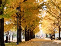 드론 강천섬-7-2.jpg