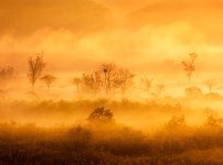 저류지 복사.jpg