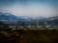 부처울 습지 복사.jpg